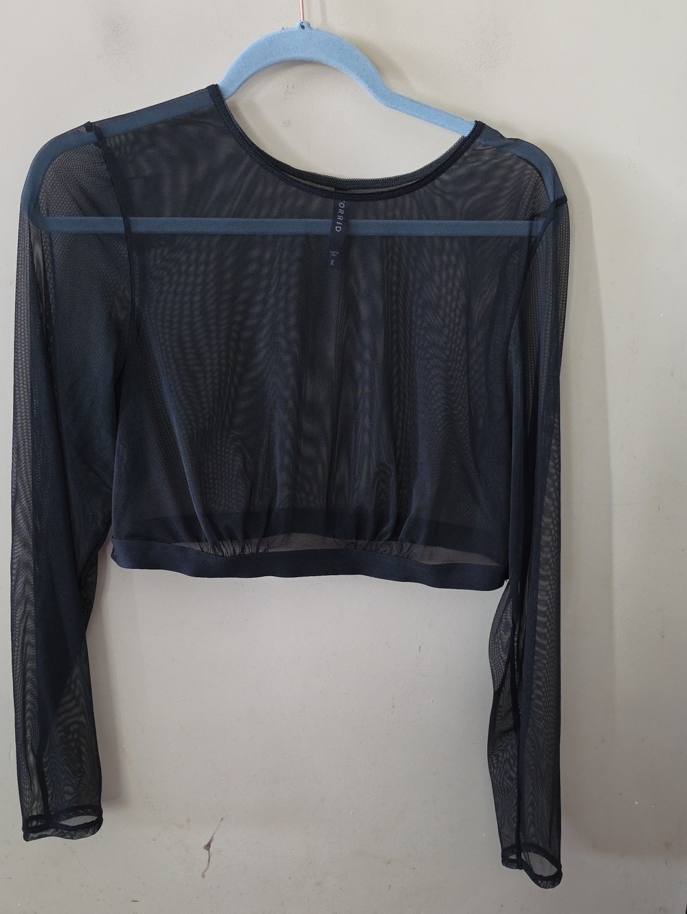 torrid Black Sheer Long-Sleeve Cropped Mesh Top
